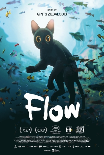 FDCP I ANIMATE - Flow